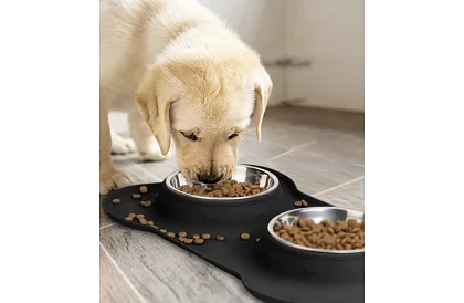 Podwójna miska z podkładką – 2 × 450 ml