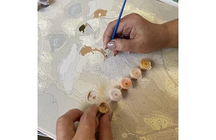 Malowanie według numerów - lis - 40x50 cm