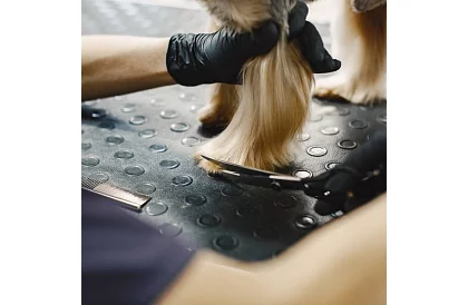 Zestaw do pielęgnacji i strzyżenia psów w etui