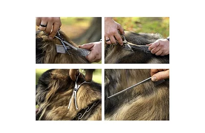 Zestaw do pielęgnacji i strzyżenia psów w etui