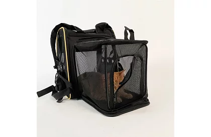 Plecak do transportu zwierząt