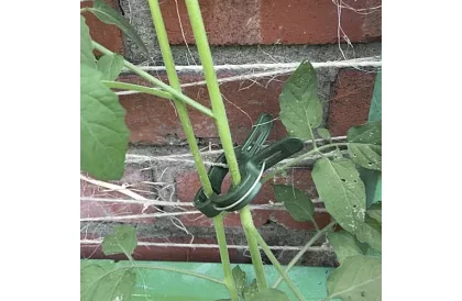 Klipy do mocowania roślin 108 szt.