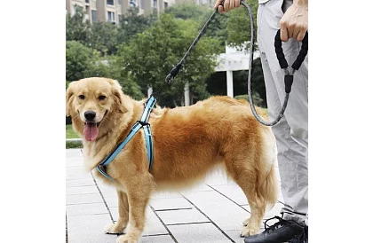 Smycz dla psa mocna z elementami odblaskowymi – 3 m