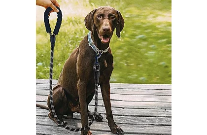 Smycz dla psa mocna z elementami odblaskowymi – 3 m