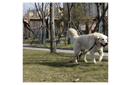 Smycz dla psa mocna z elementami odblaskowymi – 3 m