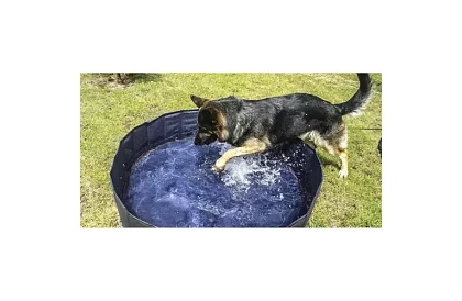 Składany basen dla psów – 120 × 30 cm