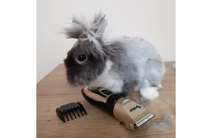 Zestaw do pielęgnacji zwierząt domowych + akcesoria