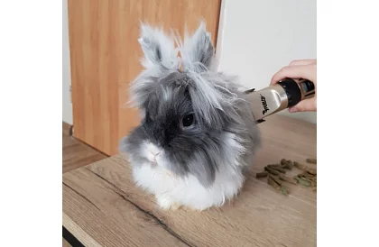 Zestaw do pielęgnacji zwierząt domowych + akcesoria