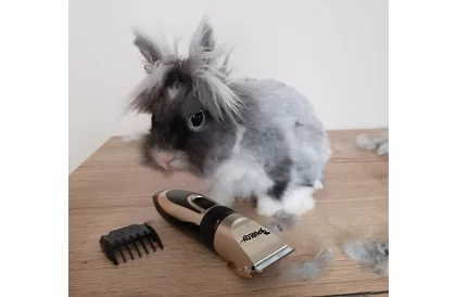 Zestaw do pielęgnacji zwierząt domowych + akcesoria