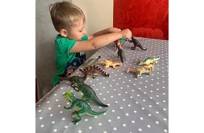 Zestaw zwierzątek 12 dinozaurów